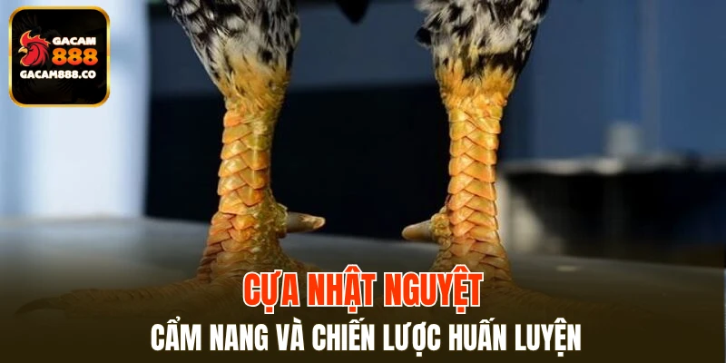 Cựa Nhật Nguyệt