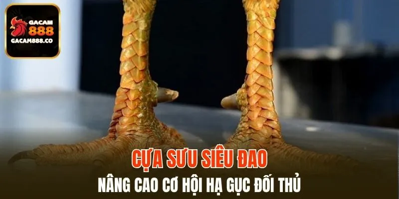 Cựa Sưu Siêu Đao