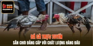 Đá Gà Trực Tuyến