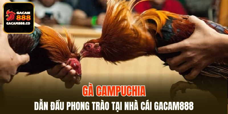 Gà Campuchia