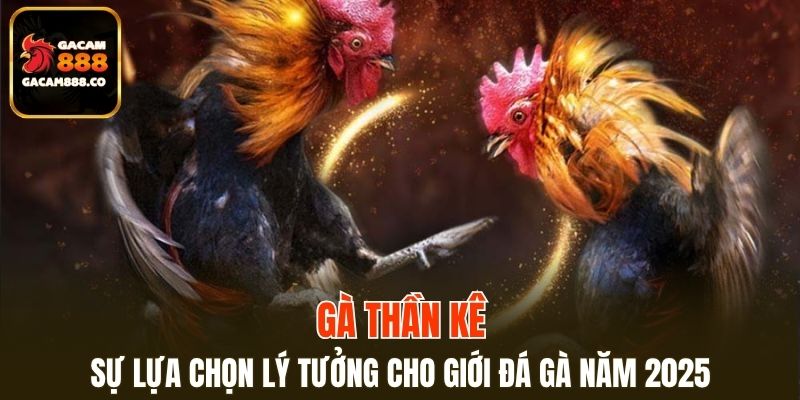 Gà Thần Kê