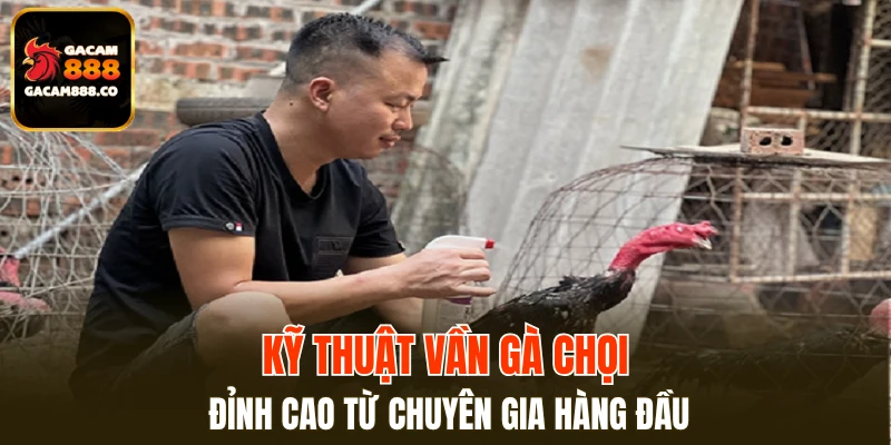 Kỹ Thuật Vần Gà Chọi