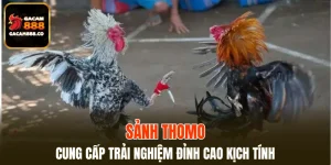 Sảnh Thomo