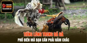 Tiếng Lóng Trong Đá Gà