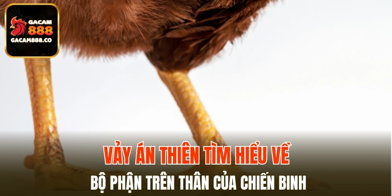 Vảy Án Thiên