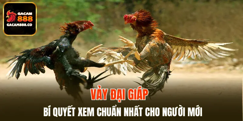 Vảy Đại Giáp