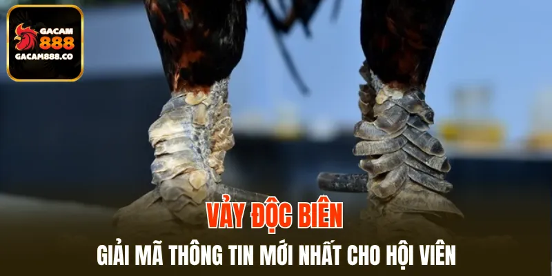 Vảy Độc Biên