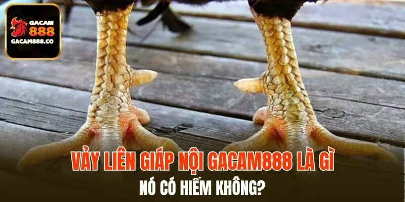 Vảy Liên Giáp Nội