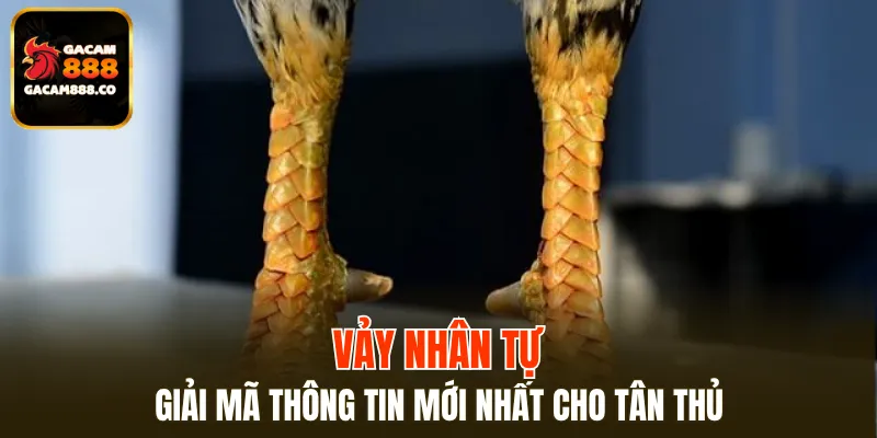 Vảy Nhân Tự
