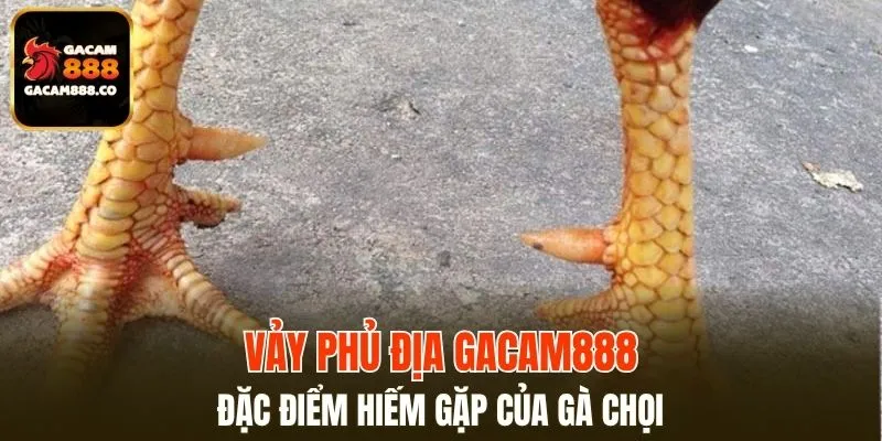 Vảy Phủ Địa