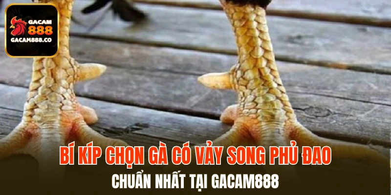 Vảy Song Phủ Đao